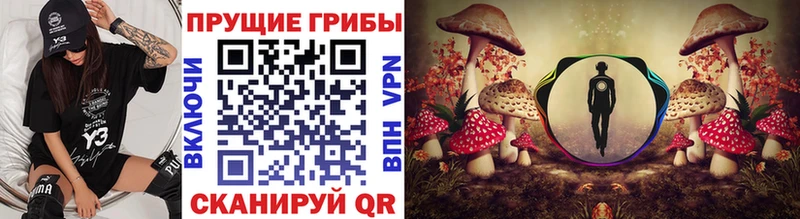 Галлюциногенные грибы прущие грибы  мориарти состав  Фатеж 