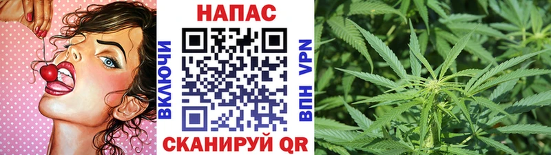 Каннабис OG Kush  Фатеж 